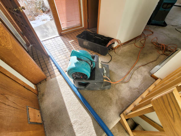 Best Carpet water damage restoration  in Clarendon, TX