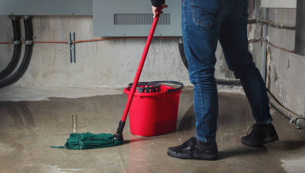 Best 24-hour water damage restoration  in Clarendon, TX